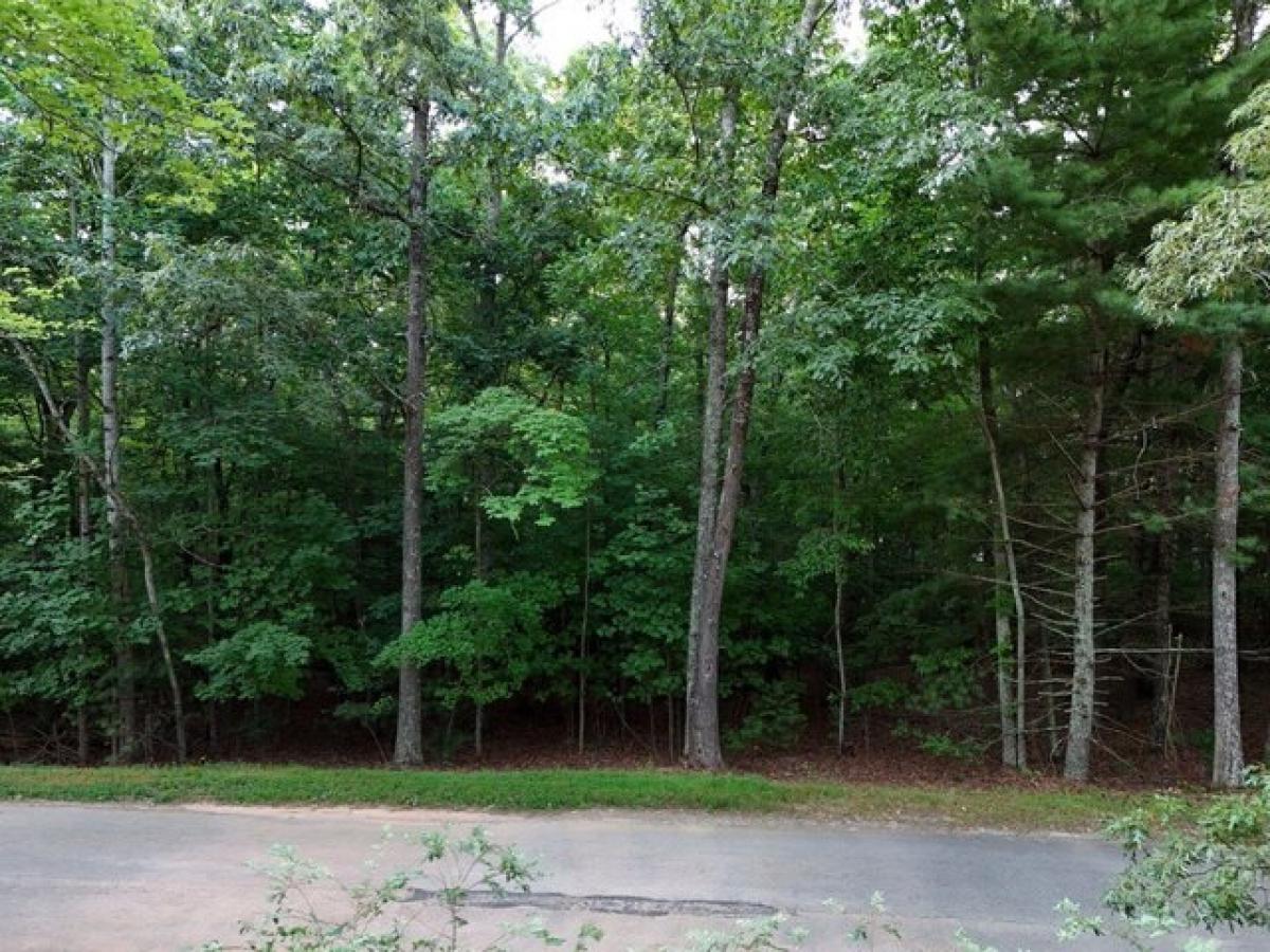 Picture of Residential Land For Sale in Blairsville, Georgia, United States