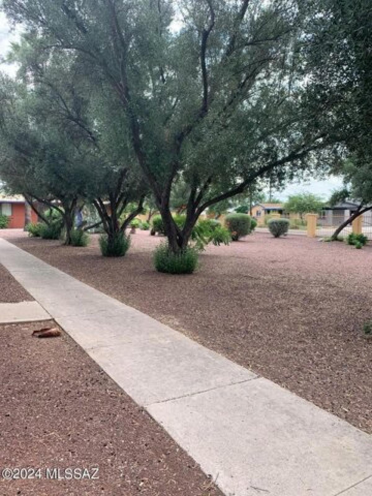 Picture of Home For Rent in Tucson, Arizona, United States