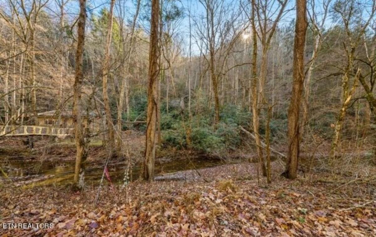 Picture of Residential Land For Sale in Sevierville, Tennessee, United States