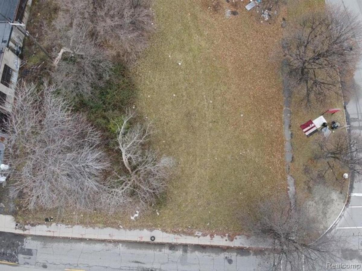Picture of Residential Land For Sale in Detroit, Michigan, United States