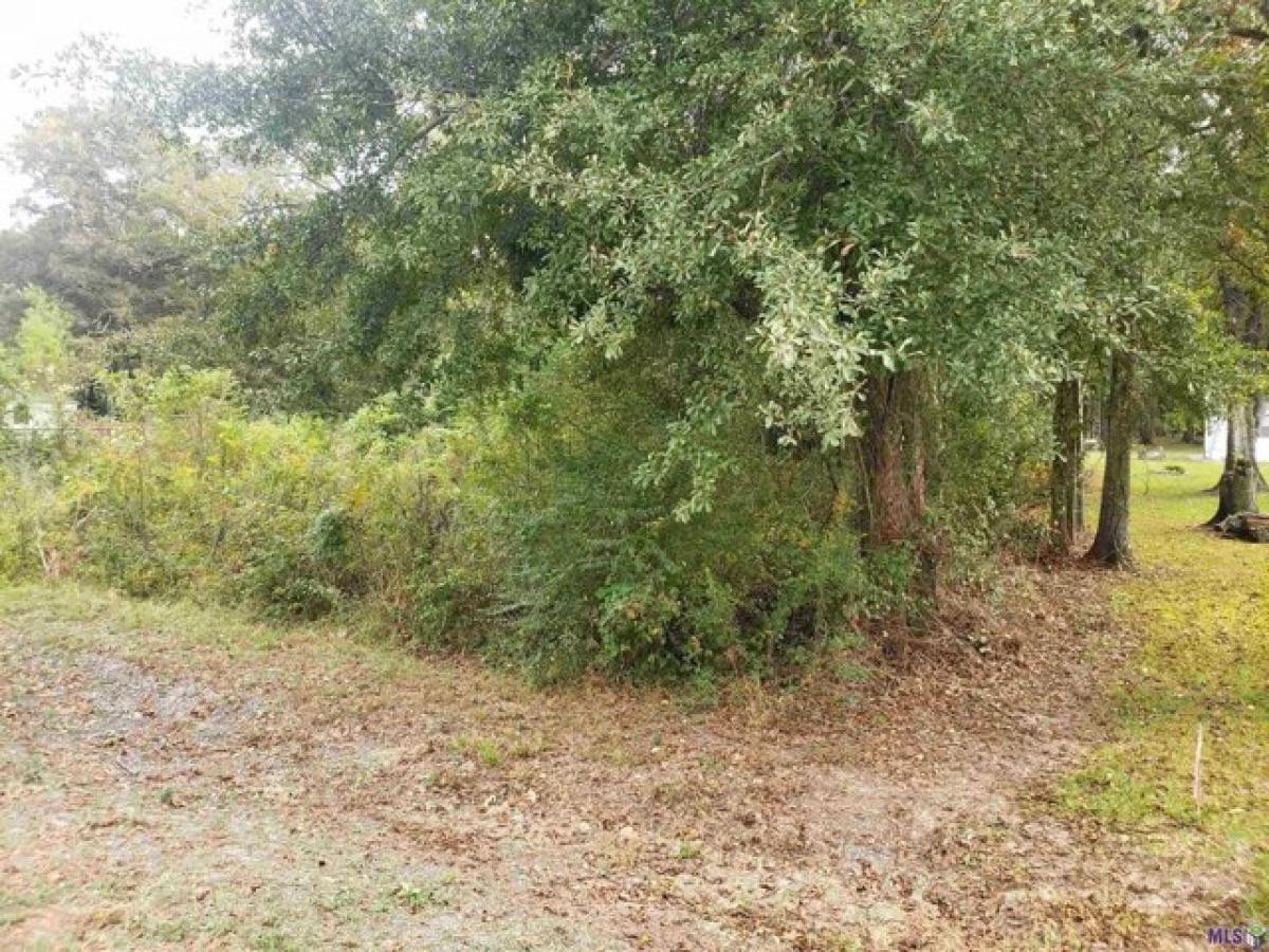 Picture of Residential Land For Sale in Baton Rouge, Louisiana, United States