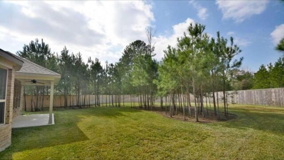 Picture of Home For Rent in Tomball, Texas, United States