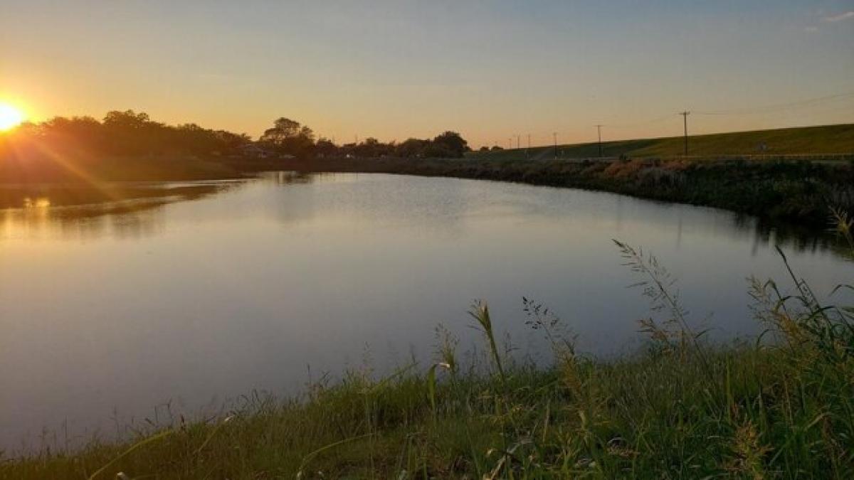 Picture of Residential Land For Sale in Dallas, Texas, United States