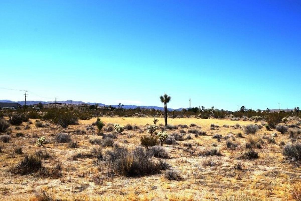 Picture of Residential Land For Sale in Yucca Valley, California, United States