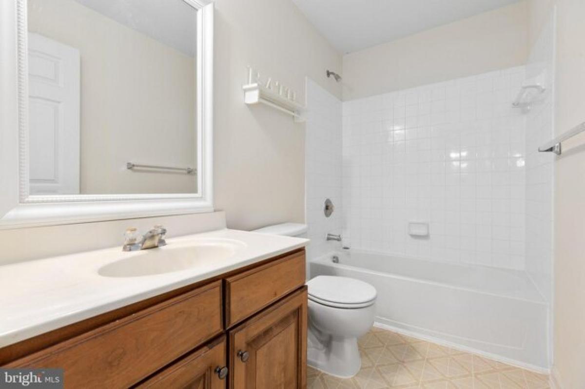 Picture of Home For Rent in Fredericksburg, Virginia, United States