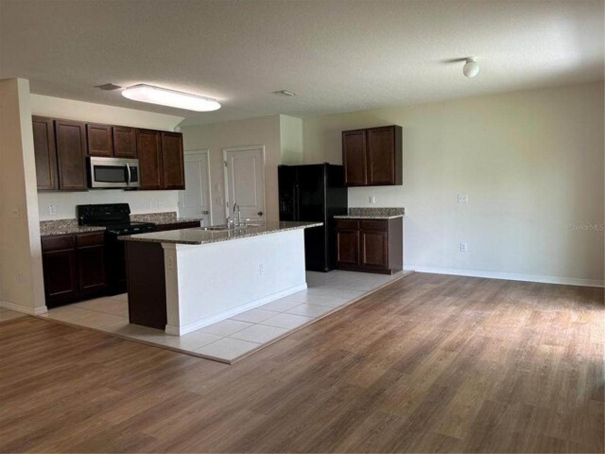 Picture of Home For Rent in Wesley Chapel, Florida, United States
