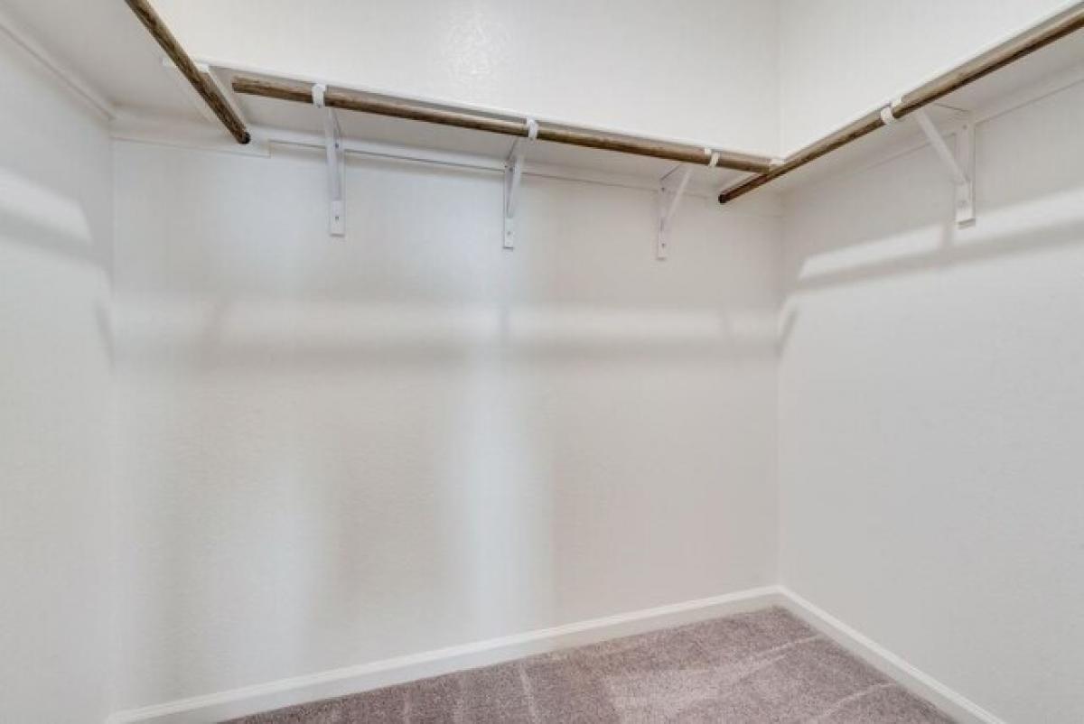 Picture of Home For Rent in Forney, Texas, United States