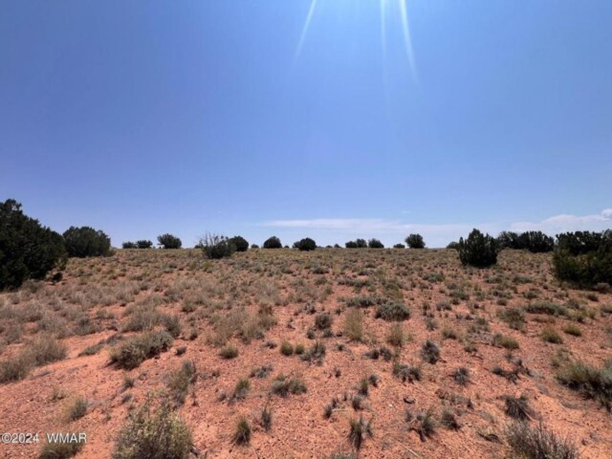 Picture of Residential Land For Sale in Snowflake, Arizona, United States