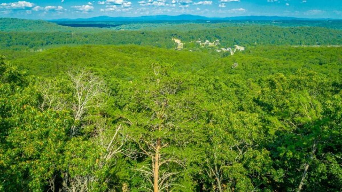 Picture of Residential Land For Sale in Ringgold, Georgia, United States