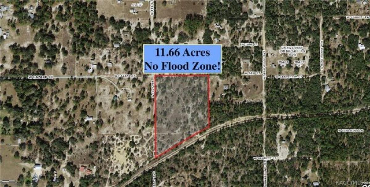 Picture of Residential Land For Sale in Dunnellon, Florida, United States