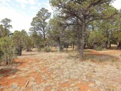 Residential Land For Sale in Overgaard, Arizona