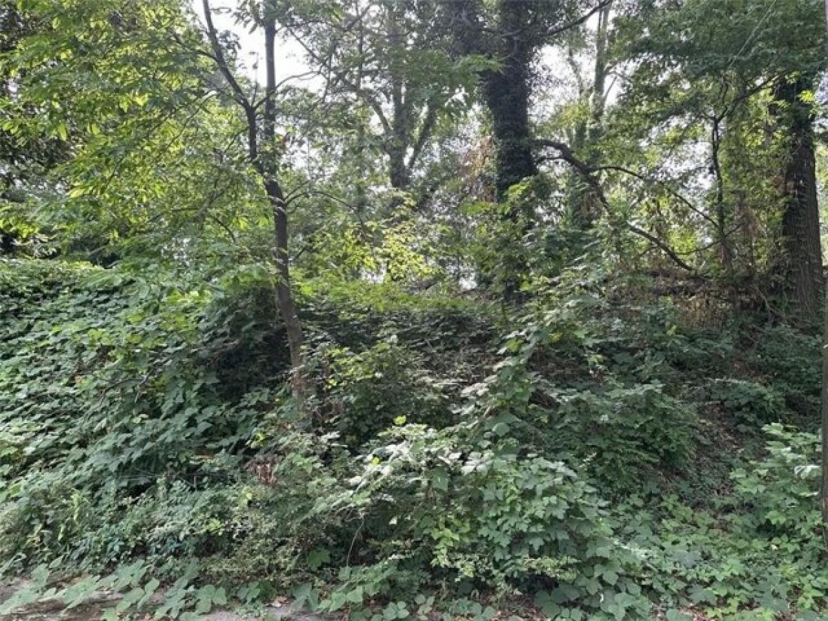 Picture of Residential Land For Sale in Atlanta, Georgia, United States