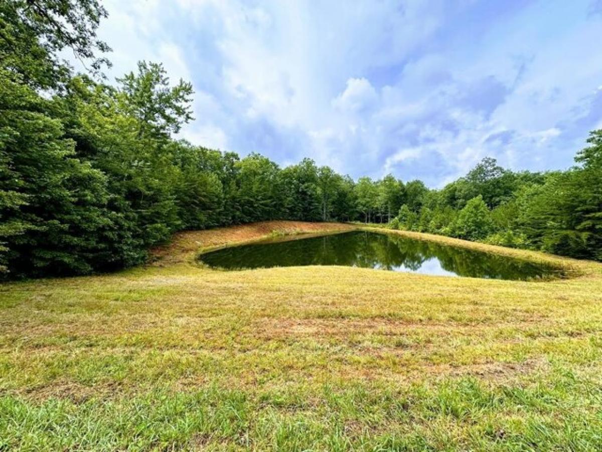 Picture of Residential Land For Sale in Jamestown, Tennessee, United States