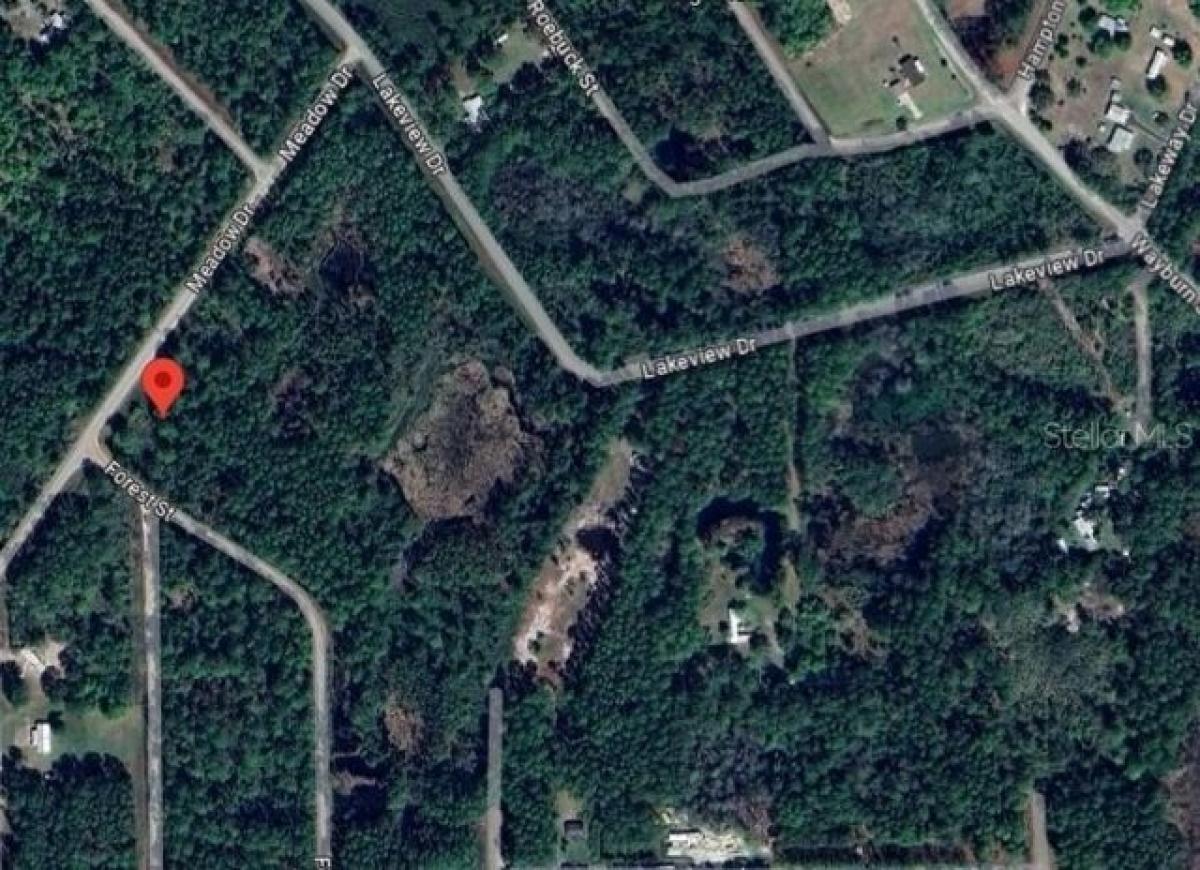 Picture of Residential Land For Rent in Georgetown, Florida, United States