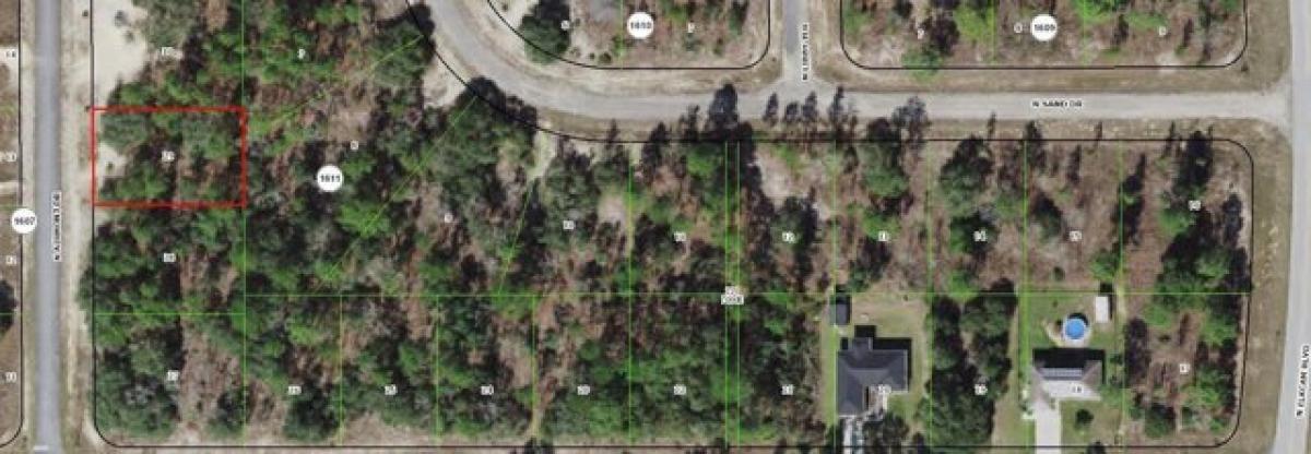 Picture of Residential Land For Sale in Citrus Springs, Florida, United States