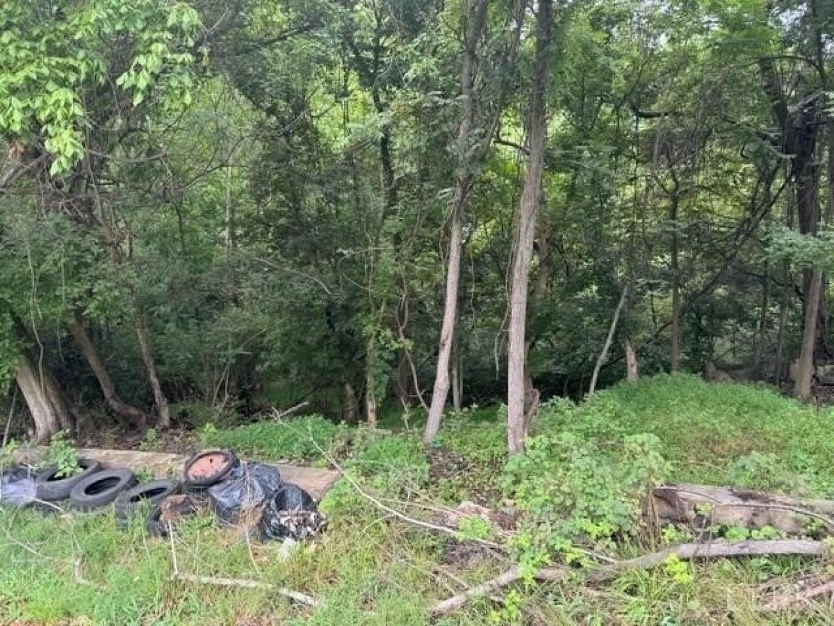 Picture of Residential Land For Rent in Lynchburg, Virginia, United States