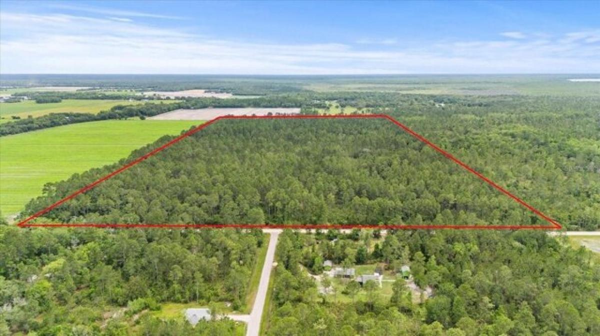 Picture of Residential Land For Sale in Bunnell, Florida, United States
