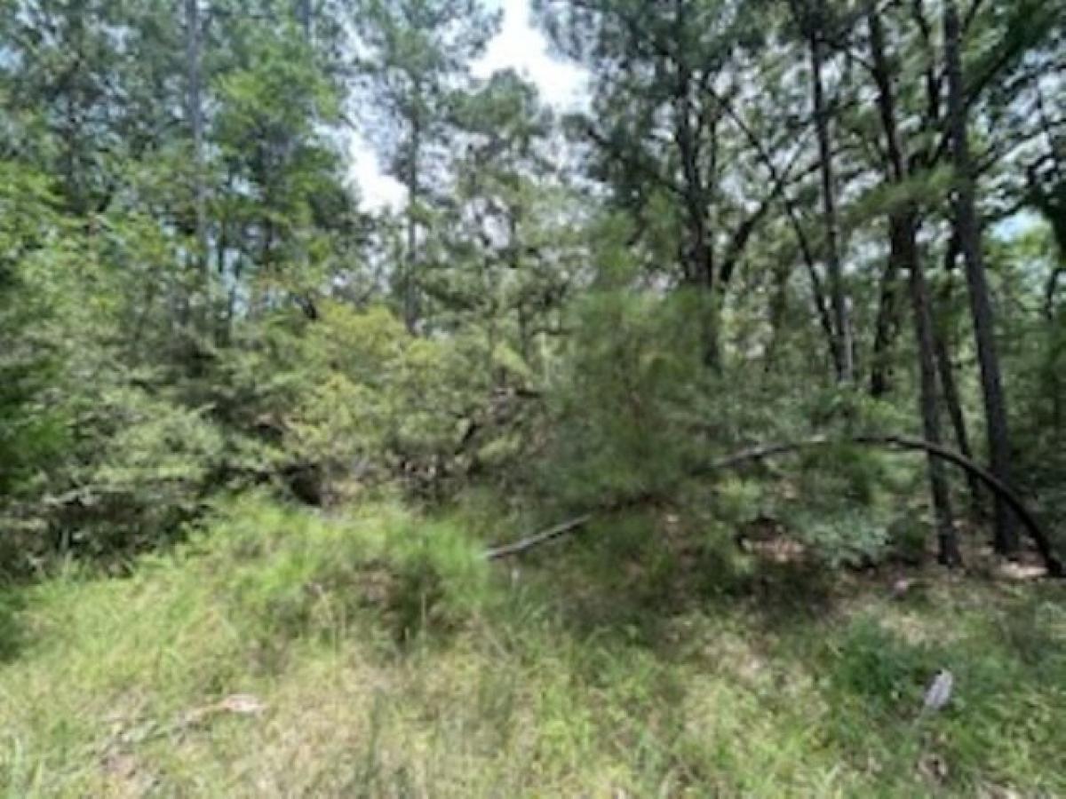 Picture of Residential Land For Sale in Huntsville, Texas, United States