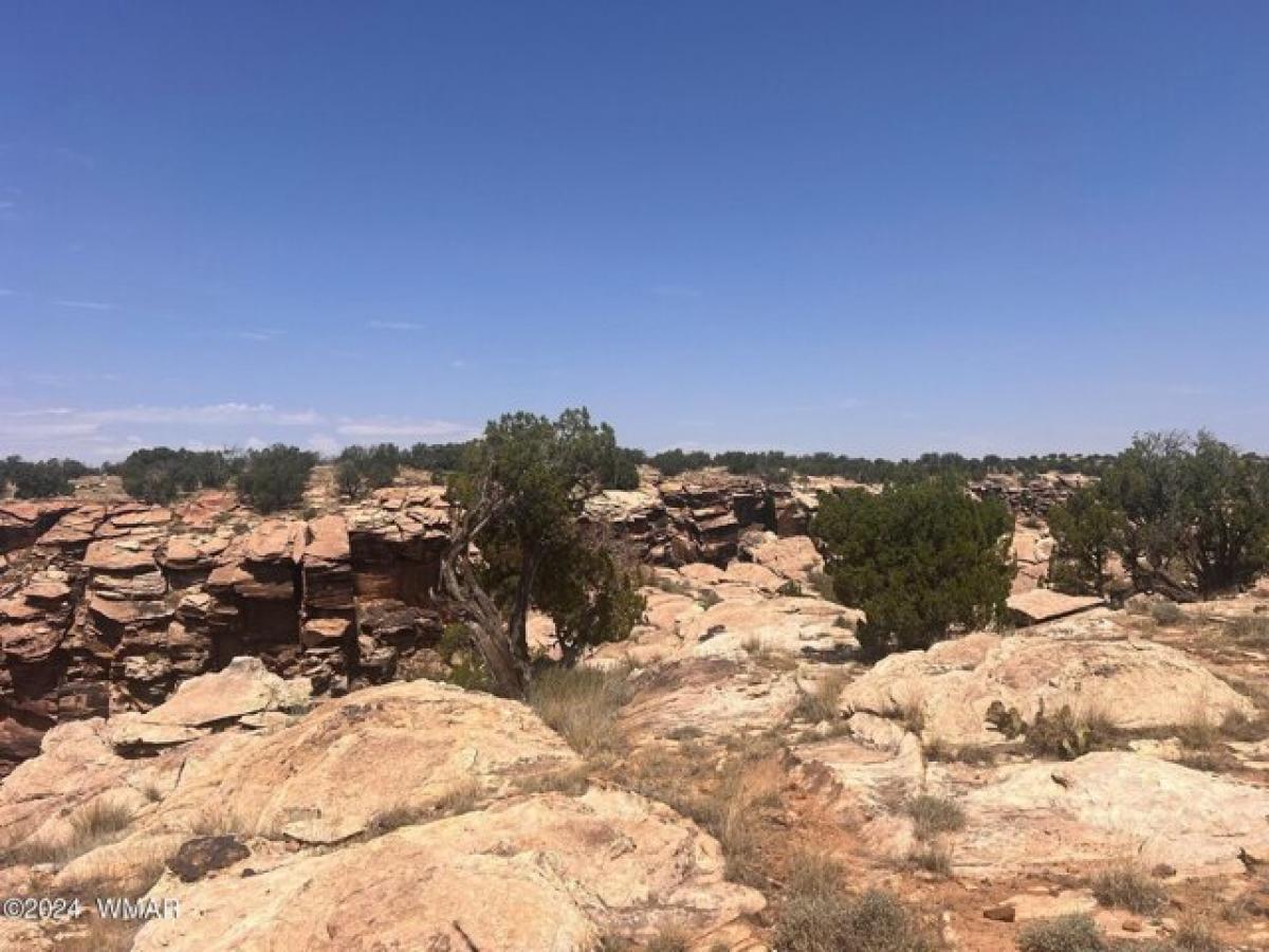 Picture of Residential Land For Sale in Snowflake, Arizona, United States