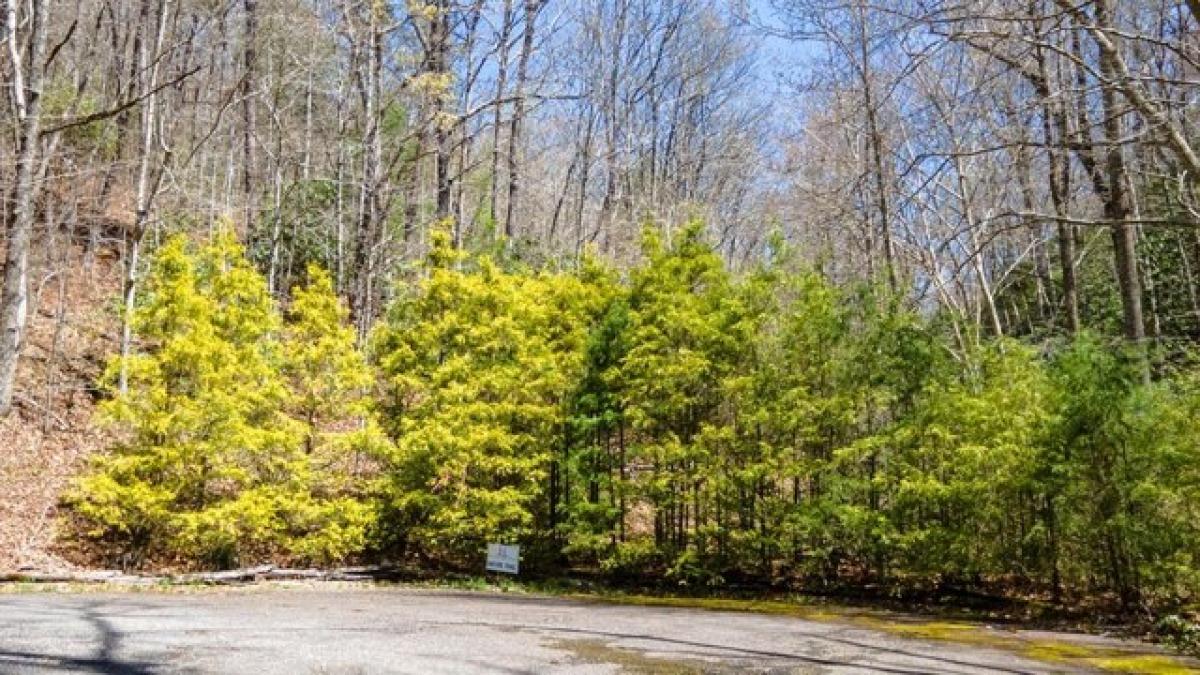 Picture of Residential Land For Sale in Franklin, North Carolina, United States