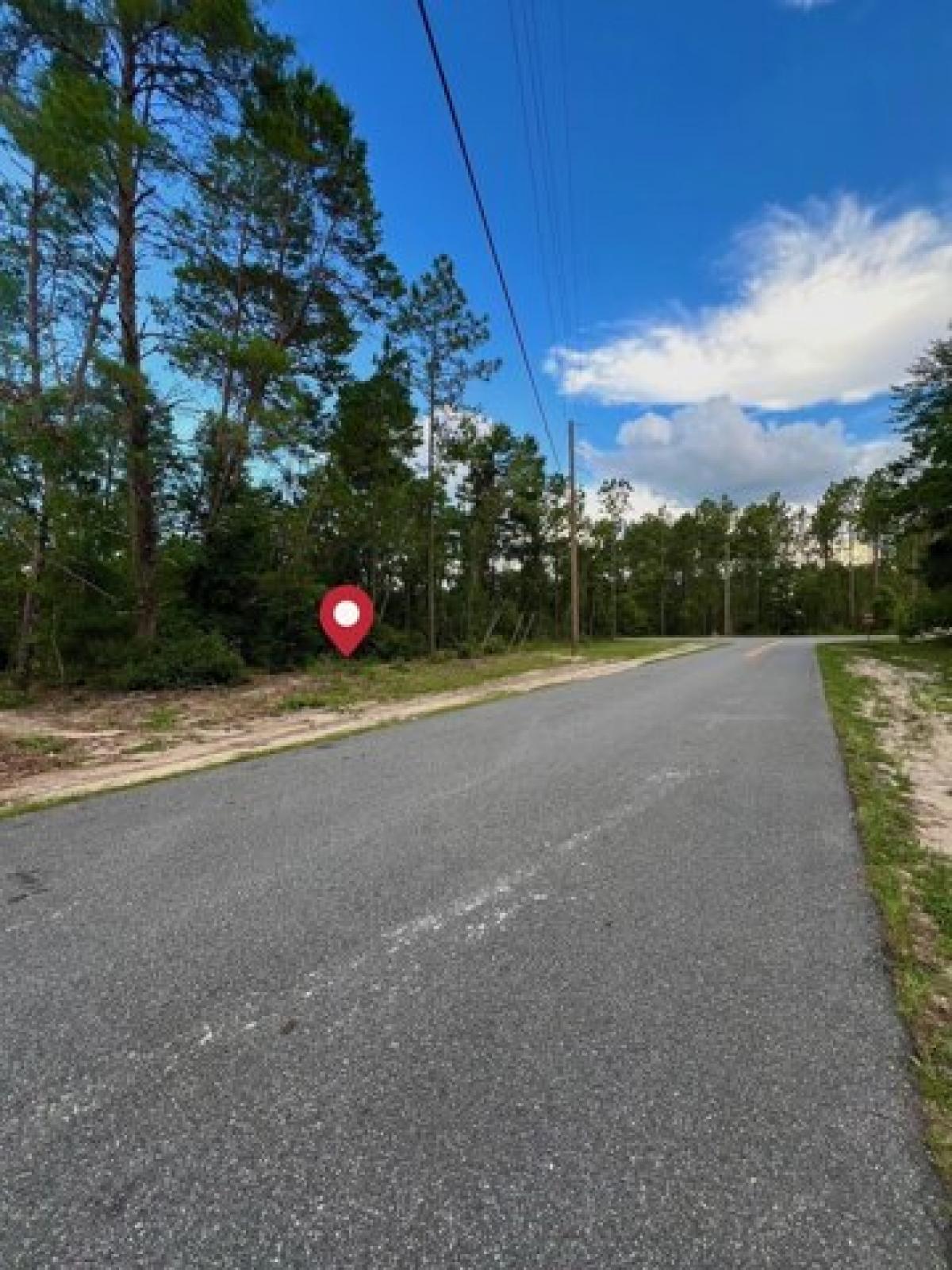 Picture of Residential Land For Sale in Ocala, Florida, United States