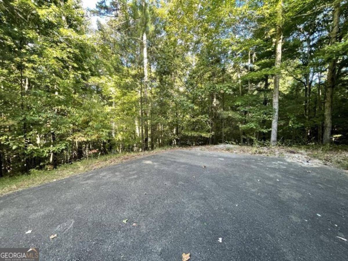 Picture of Residential Land For Sale in Big Canoe, Georgia, United States