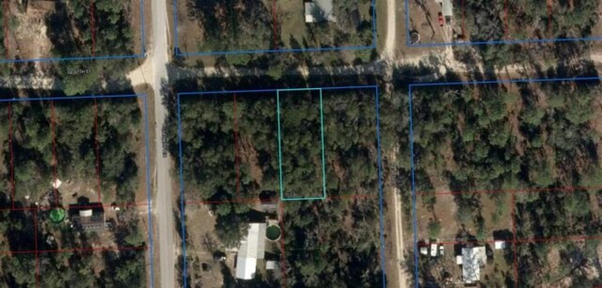 Picture of Residential Land For Rent in Bronson, Florida, United States