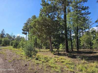Residential Land For Sale in Lakeside, Arizona