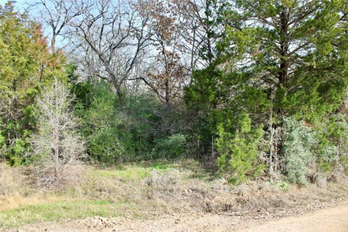 Picture of Residential Land For Sale in Elgin, Texas, United States