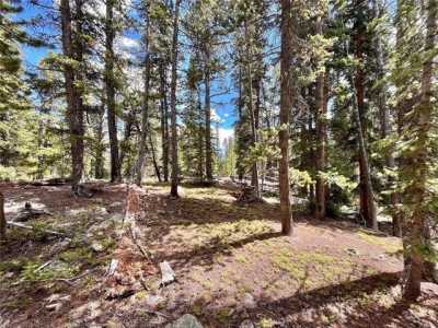 Residential Land For Sale in Fairplay, Colorado