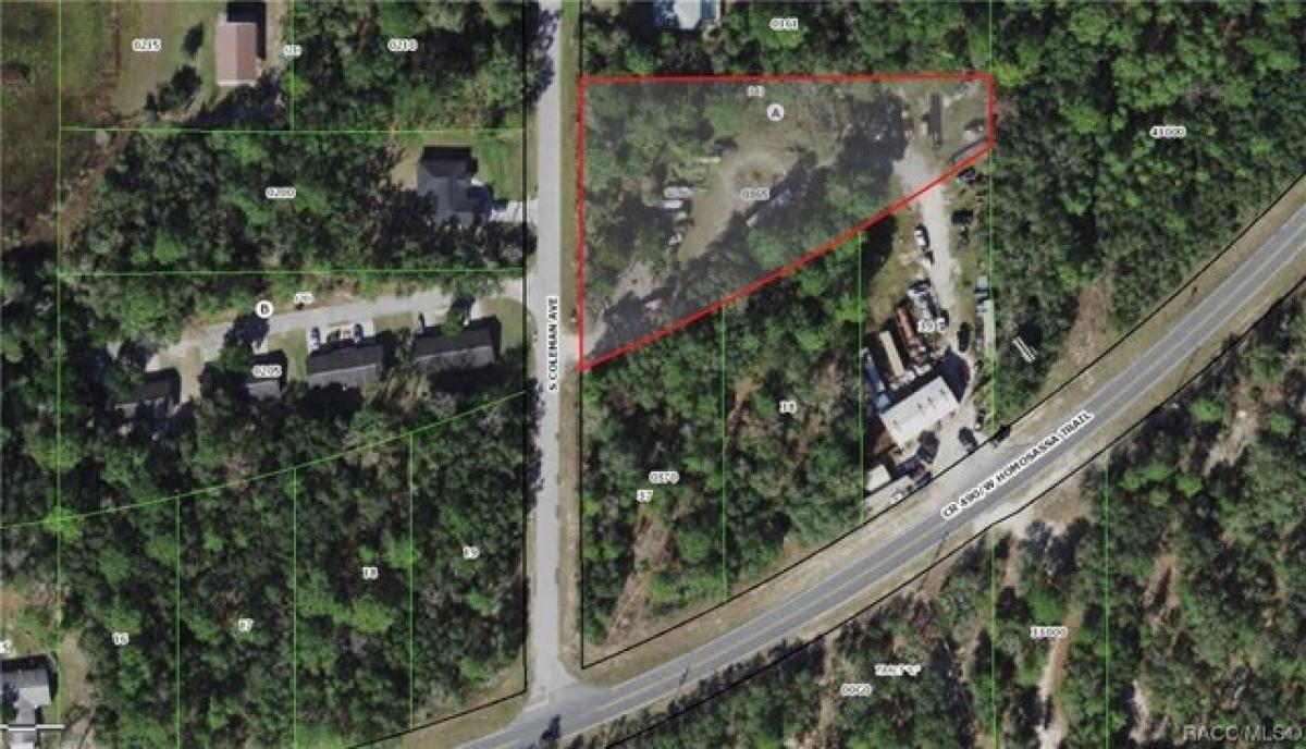 Picture of Residential Land For Sale in Homosassa, Florida, United States