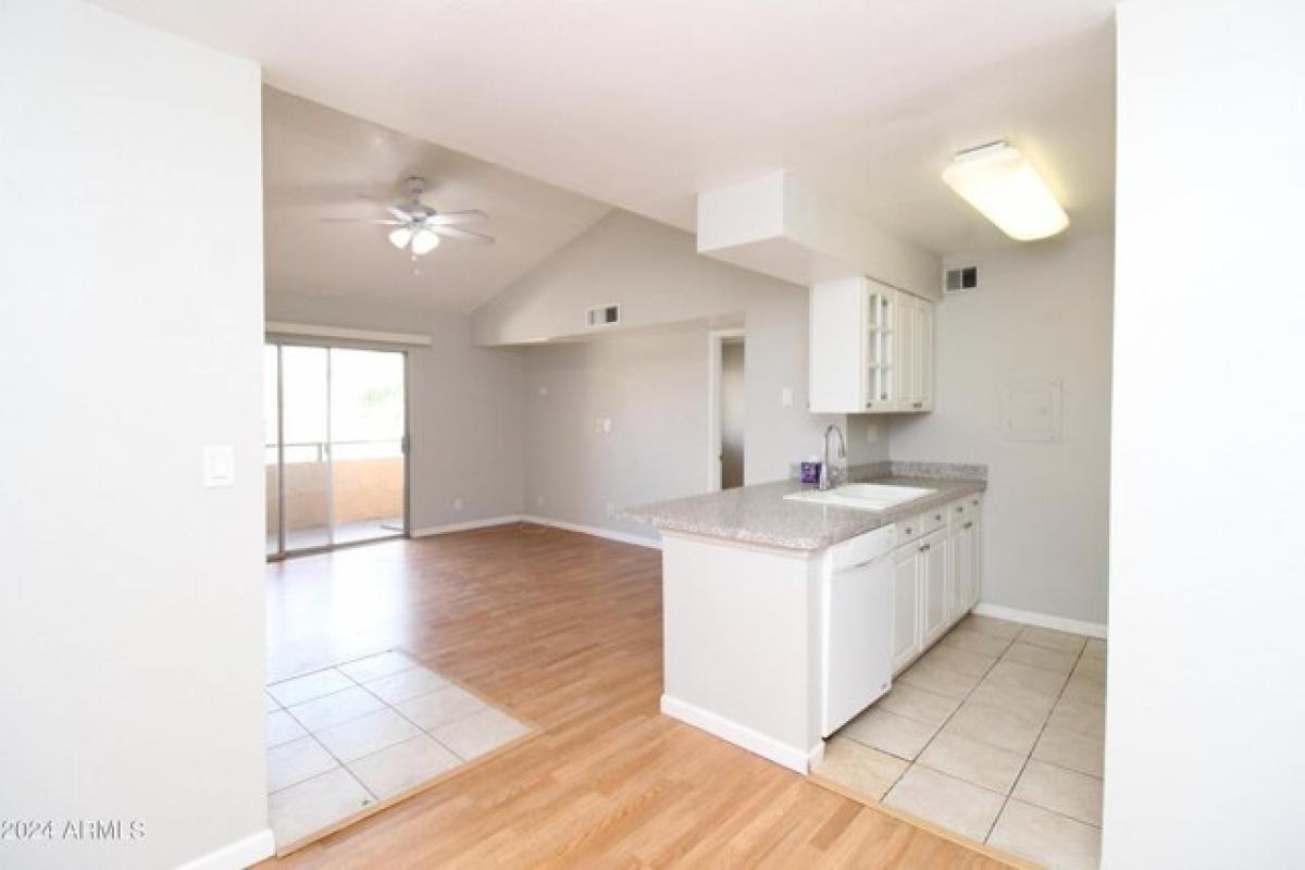 Picture of Apartment For Rent in Scottsdale, Arizona, United States