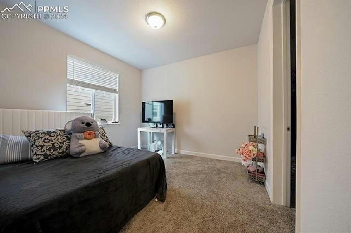 Picture of Home For Sale in Castle Rock, Colorado, United States