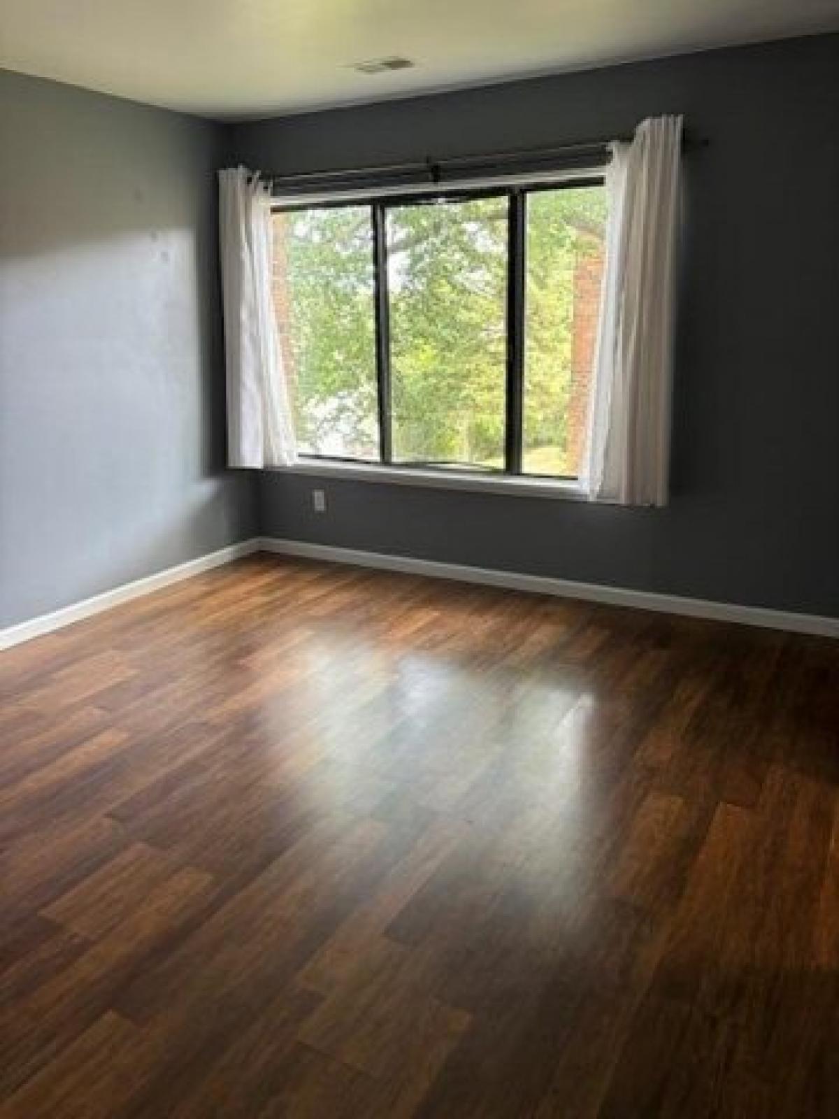Picture of Home For Rent in Ann Arbor, Michigan, United States