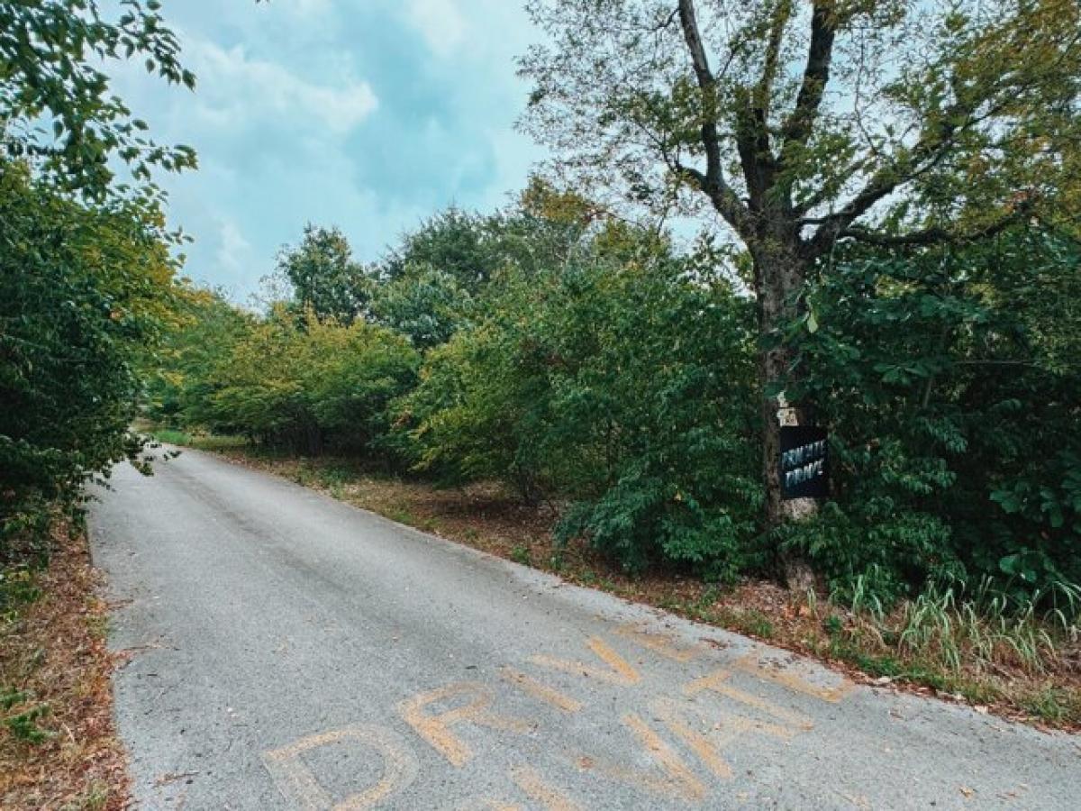 Picture of Residential Land For Sale in Nashville, Tennessee, United States