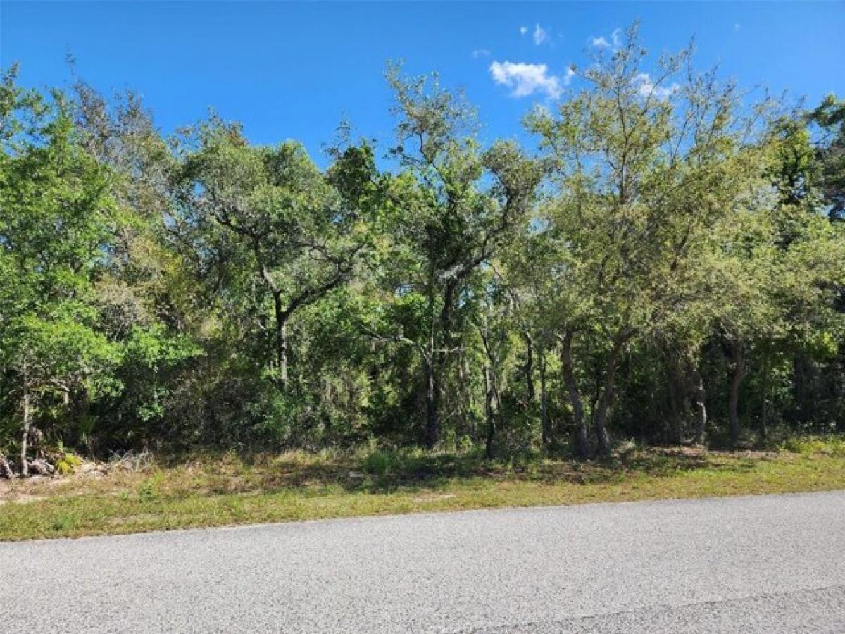 Picture of Residential Land For Sale in Weeki Wachee, Florida, United States