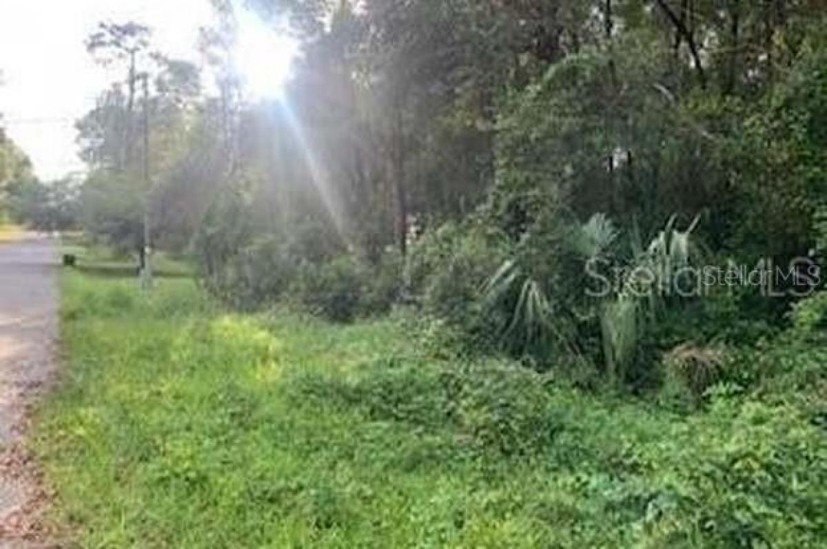 Picture of Residential Land For Sale in Inverness, Florida, United States