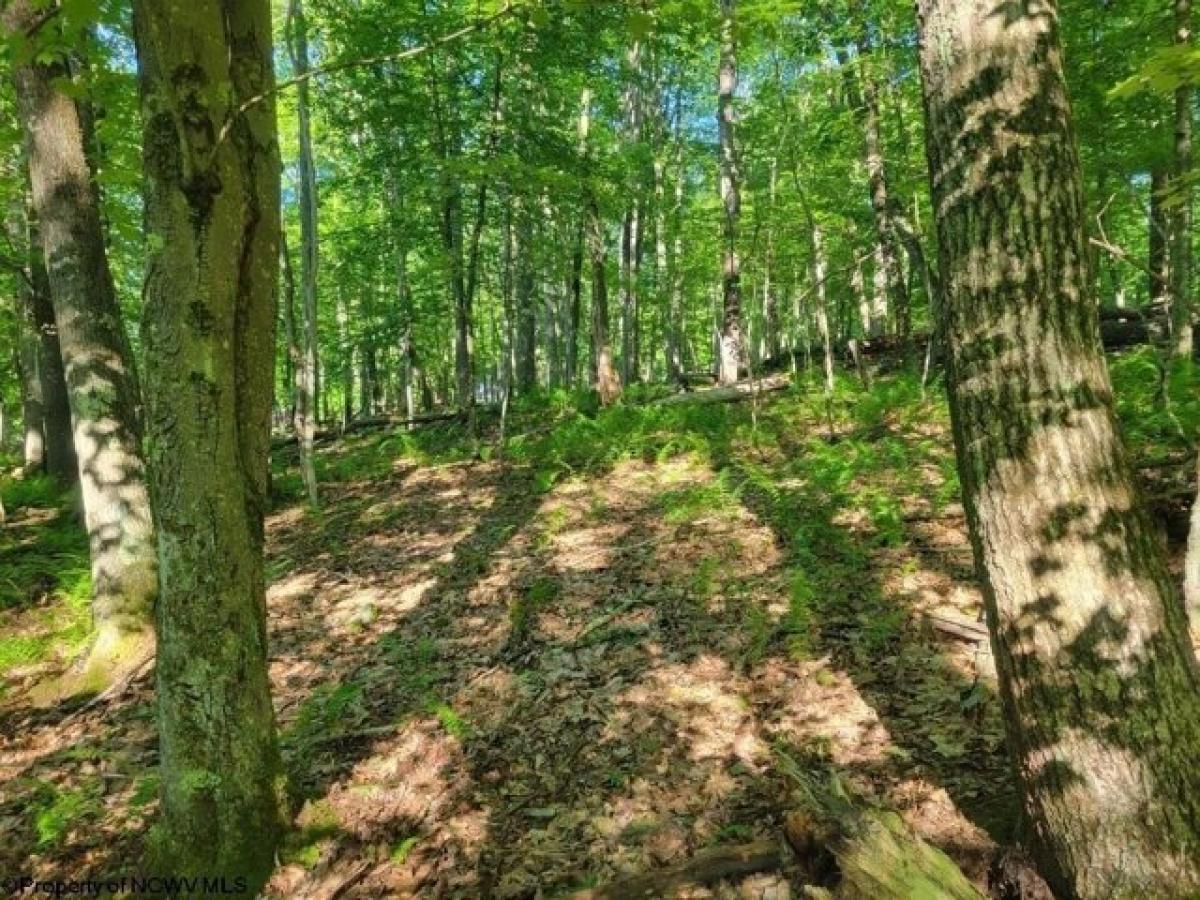 Picture of Residential Land For Rent in Terra Alta, West Virginia, United States