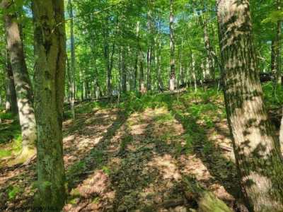 Residential Land For Rent in Terra Alta, West Virginia