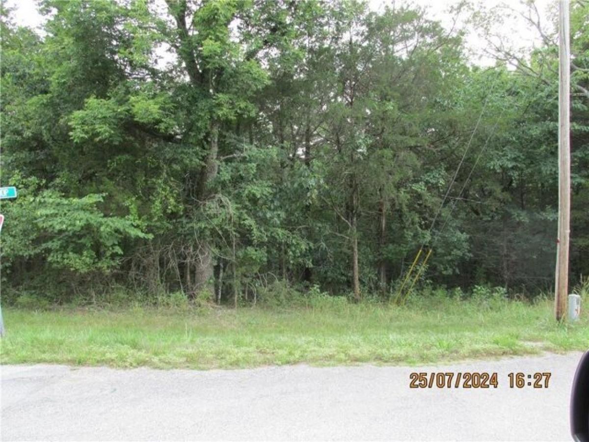 Picture of Residential Land For Rent in Holiday Island, Arkansas, United States