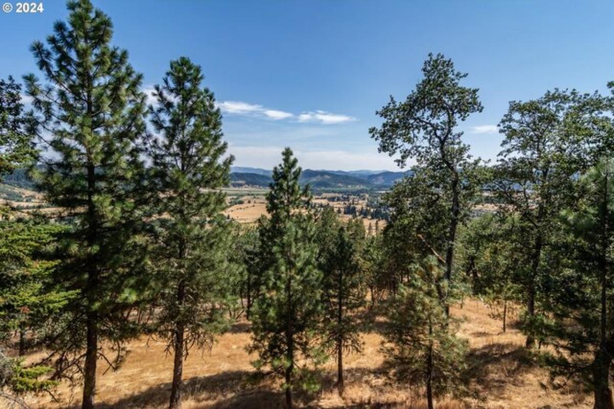 Picture of Home For Sale in Roseburg, Oregon, United States