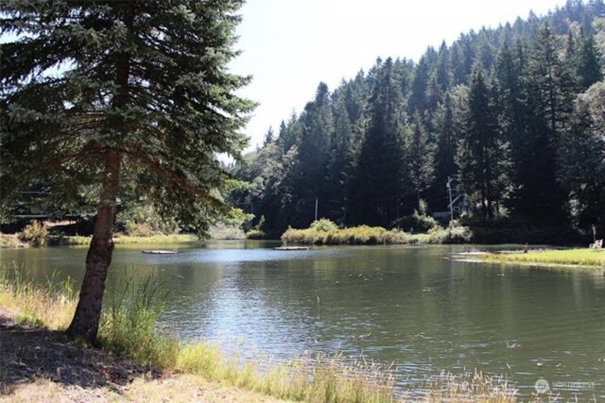 Picture of Residential Land For Sale in Lummi Island, Washington, United States