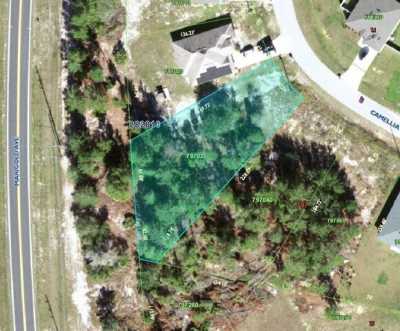 Residential Land For Sale in Kissimmee, Florida