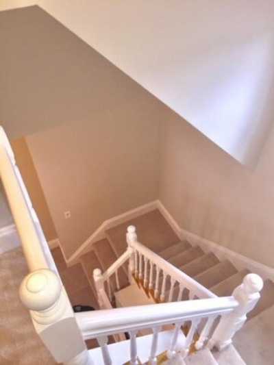 Apartment For Rent in 