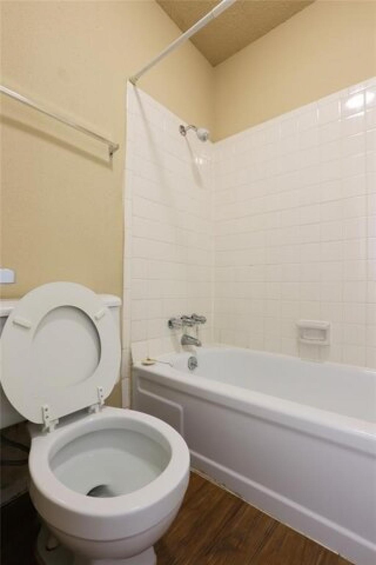 Picture of Apartment For Rent in Austin, Texas, United States