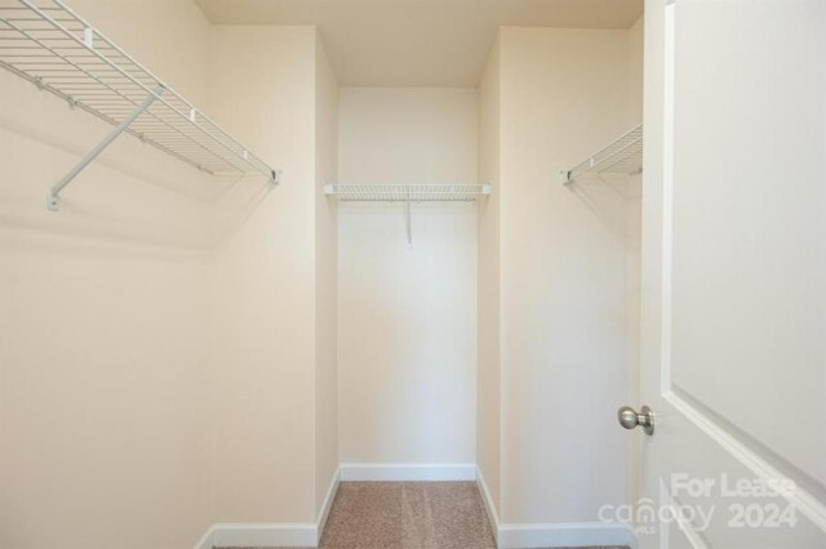 Picture of Home For Rent in Charlotte, North Carolina, United States