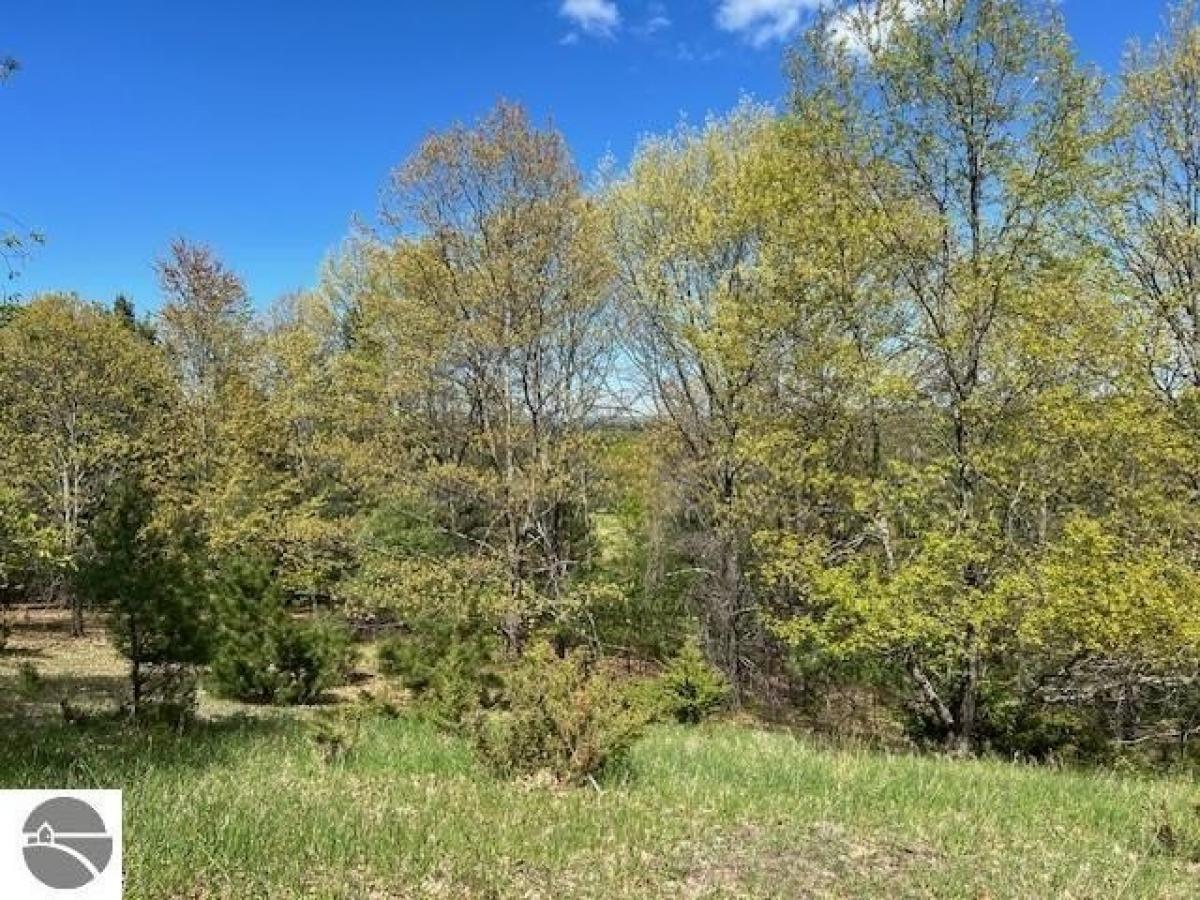 Picture of Home For Sale in Williamsburg, Michigan, United States