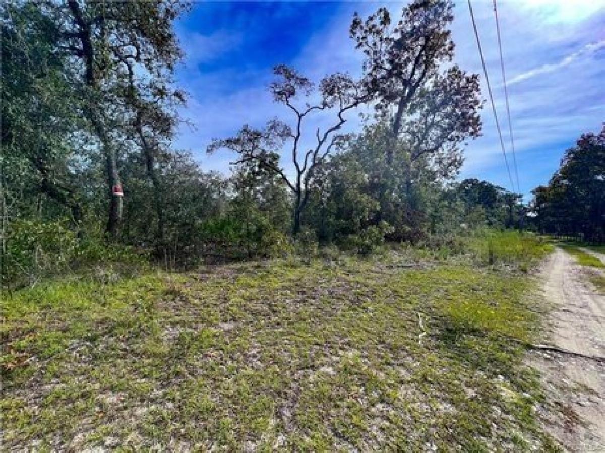 Picture of Residential Land For Sale in Homosassa, Florida, United States