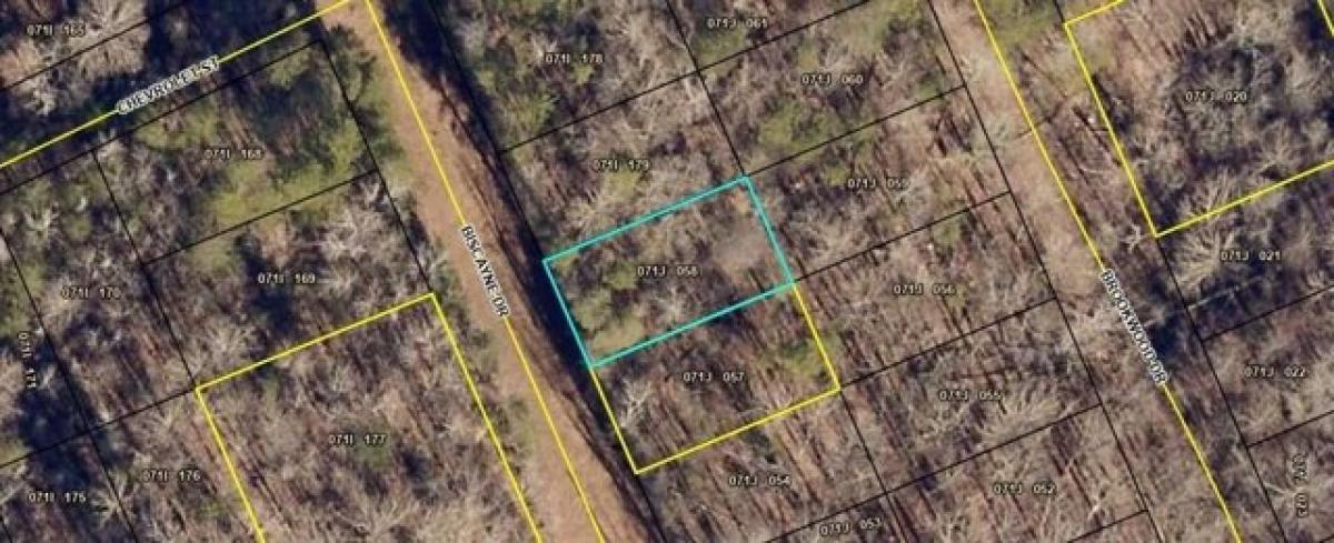 Picture of Residential Land For Rent in Martin, Georgia, United States