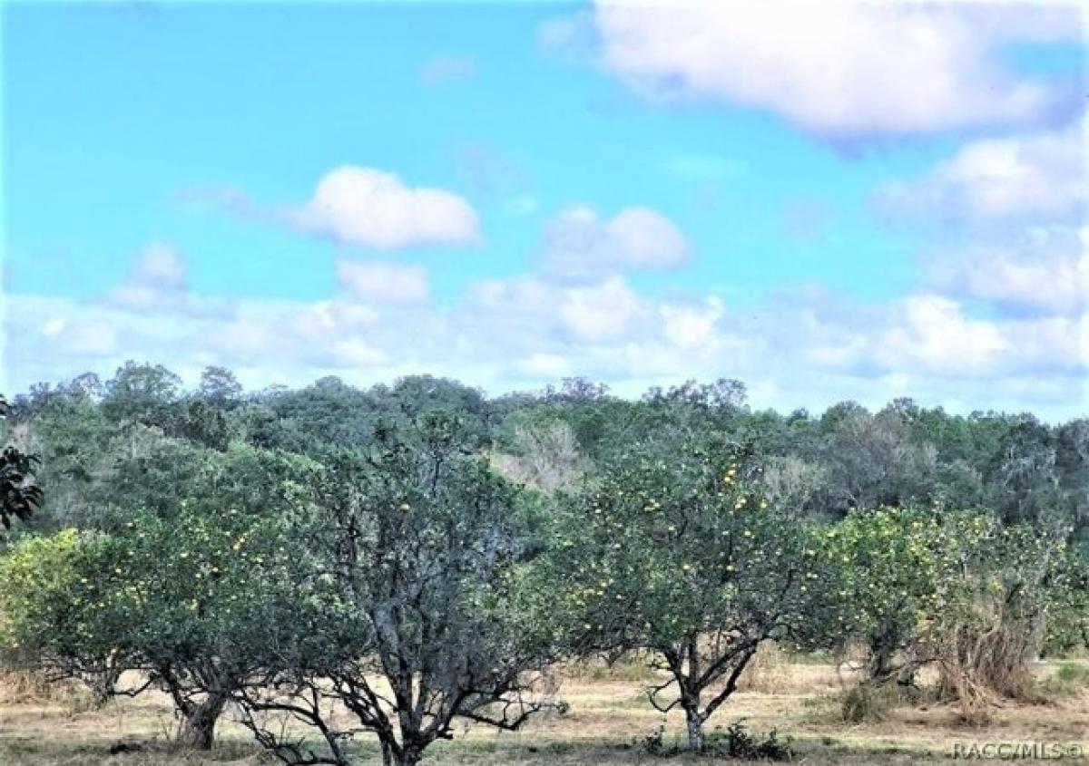 Picture of Residential Land For Sale in Brooksville, Florida, United States